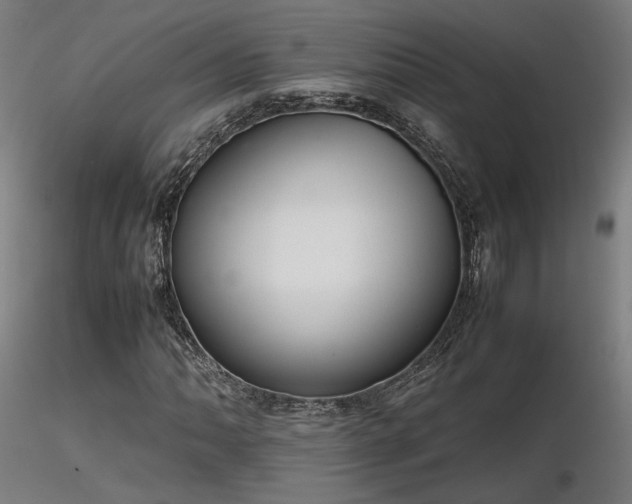 X0000116841062200912181452