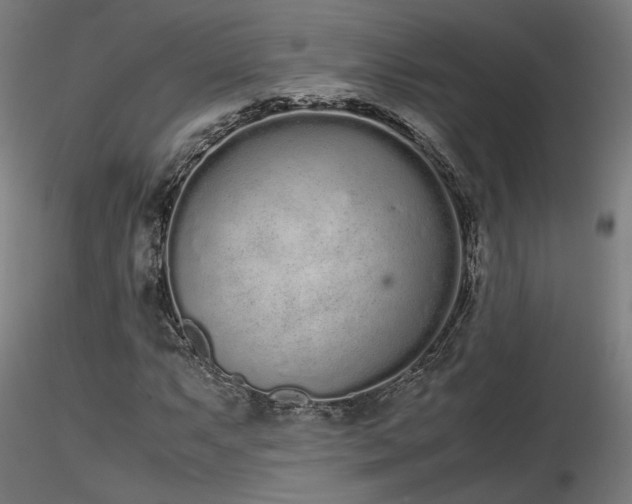 X0000116841063200912181452