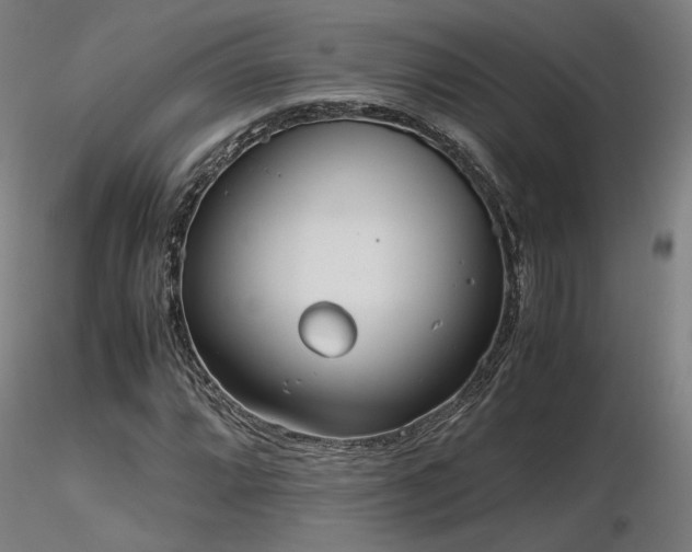 X0000116841064200912181452