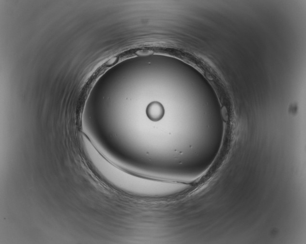 X0000116841065200912181452
