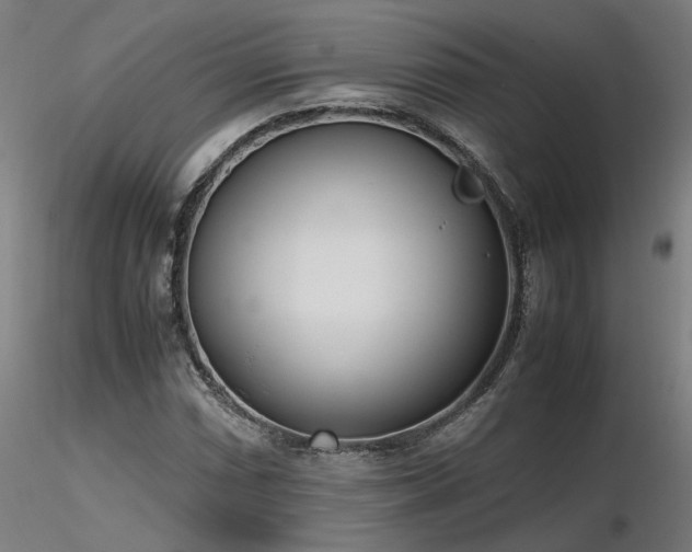 X0000116841066200912181452