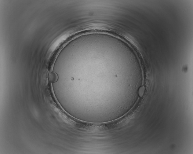 X0000116841067200912181452