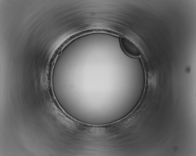 X0000116841068200912181452