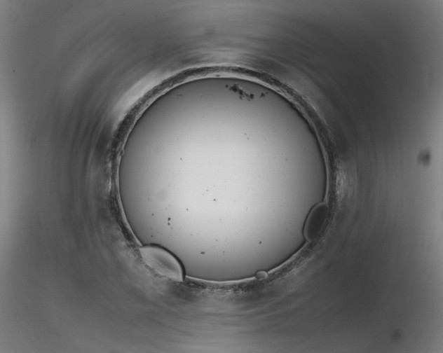 X0000116841069200912181452