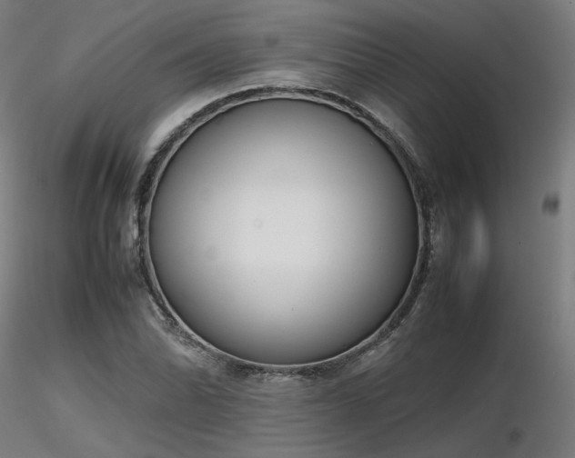 X0000116841070200912181452