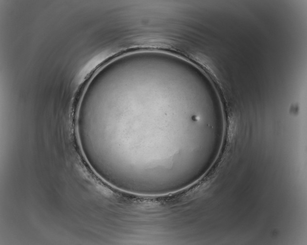 X0000116841071200912181452