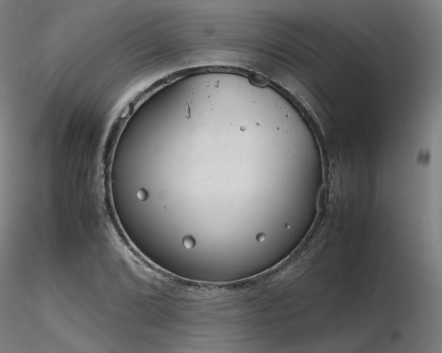 X0000116841072200912181452