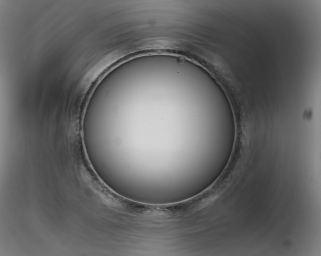 X0000116841073200912181452