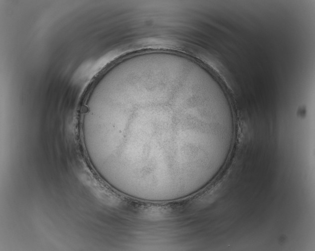 X0000116841074200912181452