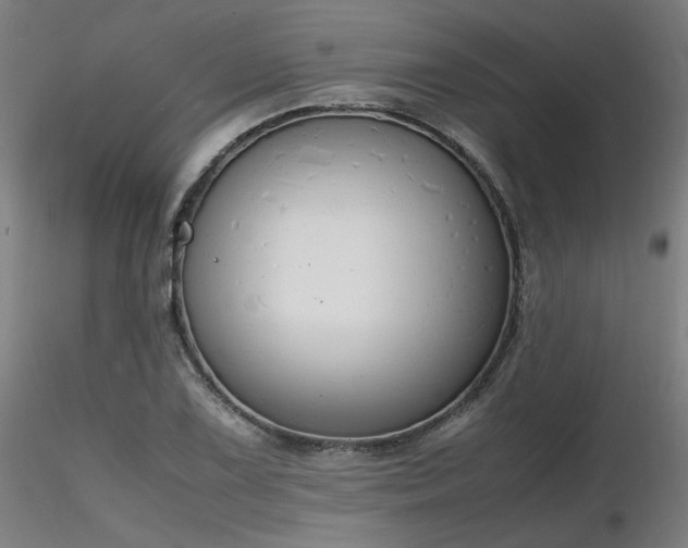 X0000116841075200912181452