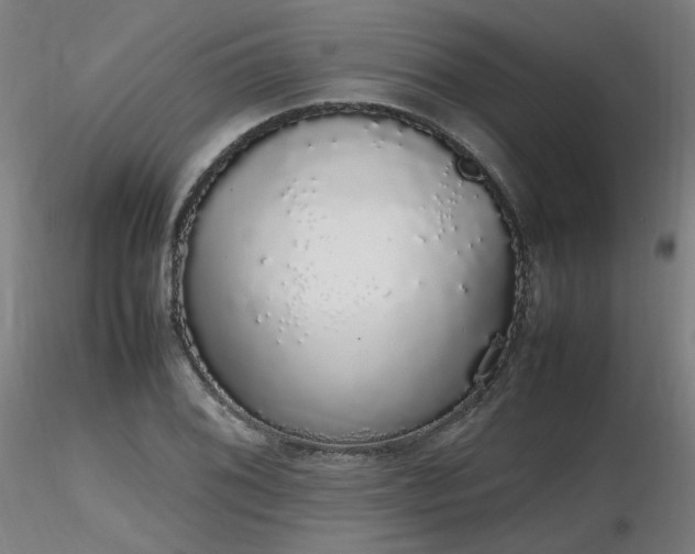 X0000116841076200912181452