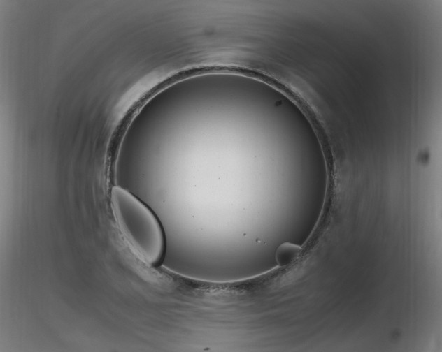 X0000116841077200912181452