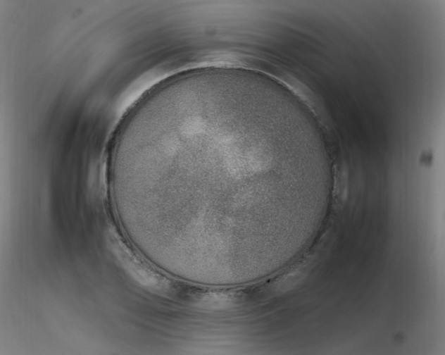 X0000116841078200912181452