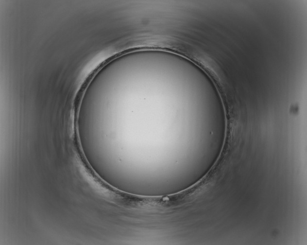 X0000116841079200912181452