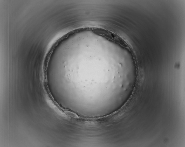 X0000116841080200912181452