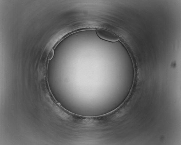 X0000116841081200912181452
