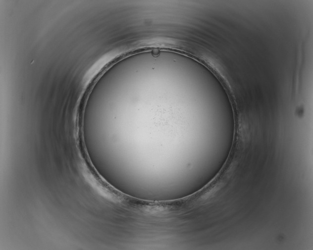 X0000116841082200912181452
