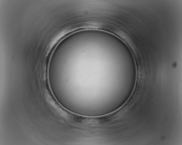 X0000116841083200912181452
