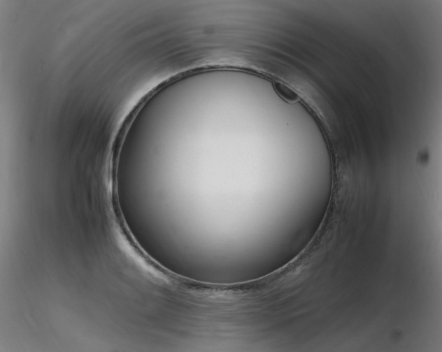 X0000116841084200912181452