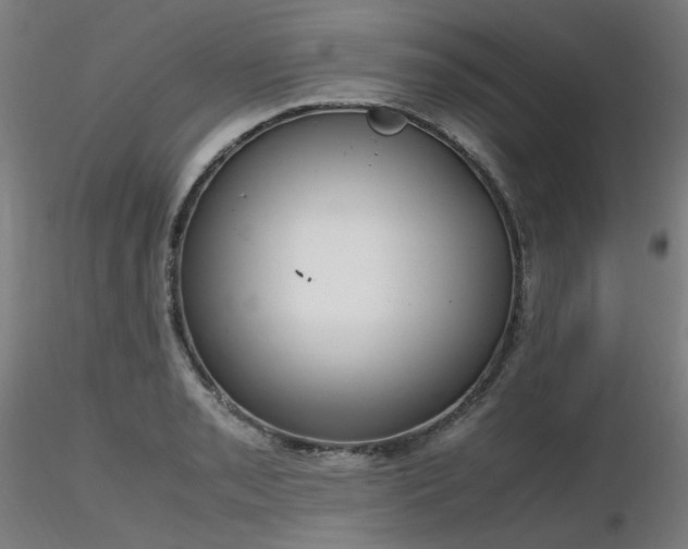X0000116841085200912181452