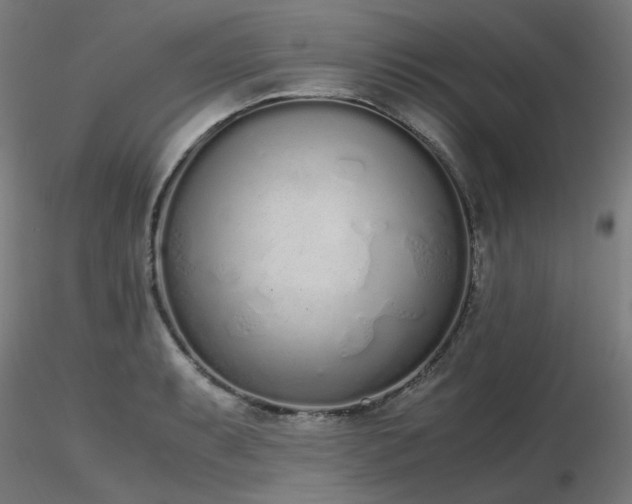 X0000116841087200912181452