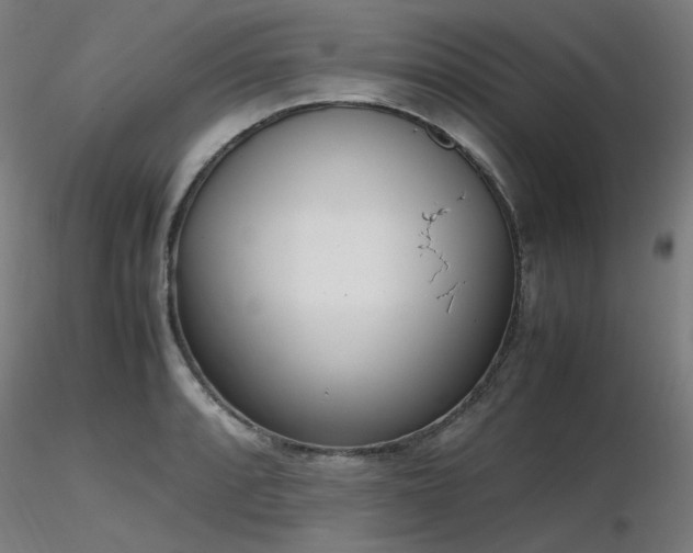 X0000116841088200912181452