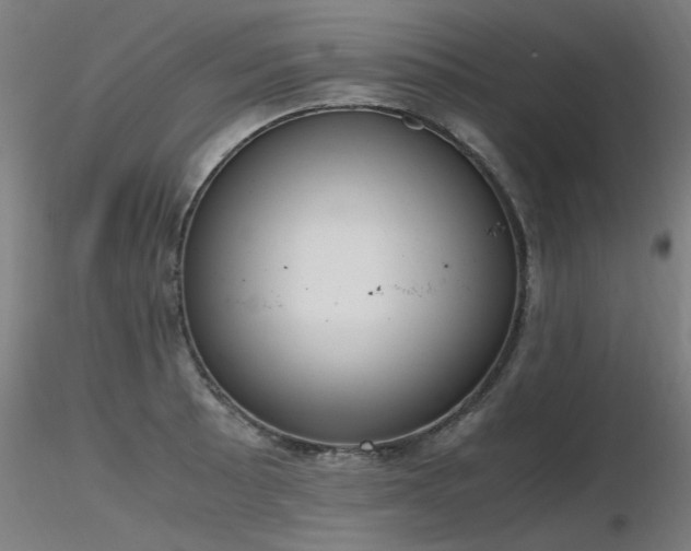 X0000116841089200912181452
