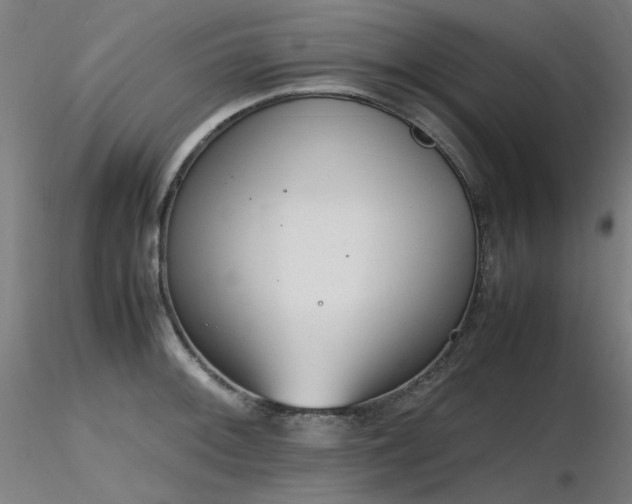 X0000116841092200912181452
