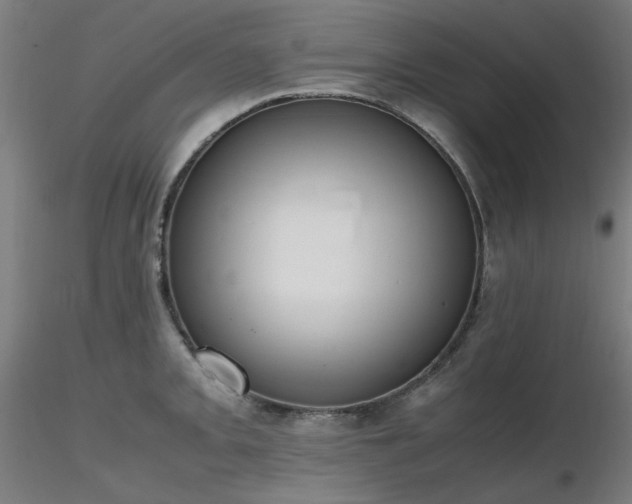 X0000116841093200912181452