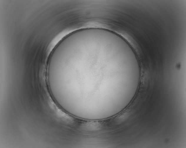 X0000116841094200912181452