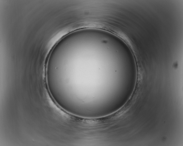 X0000116841095200912181452