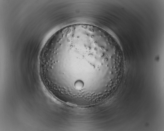 X0000116841096200912181452