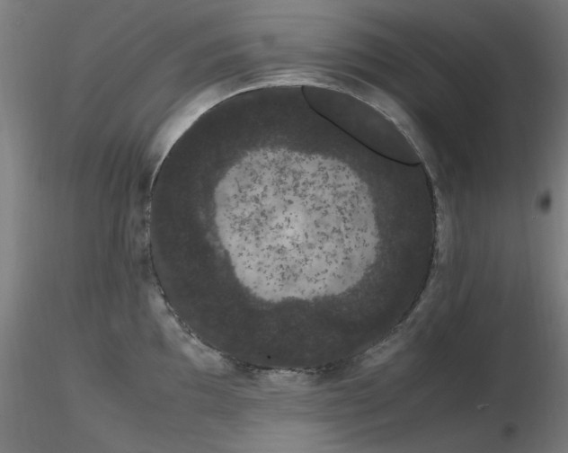 X0000116841097200912181452