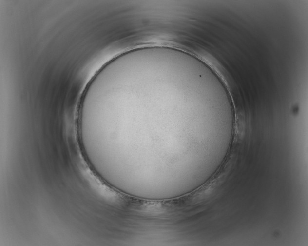 X0000116841098200912181452