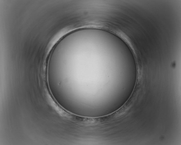 X0000116841099200912181452