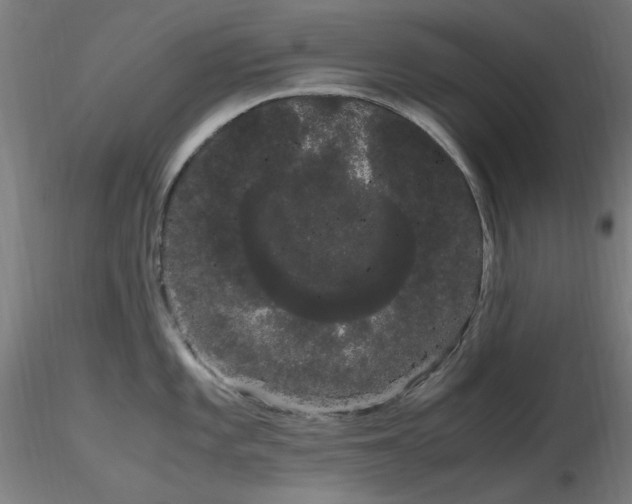 X0000116841101200912181452