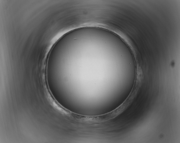 X0000116841102200912181452
