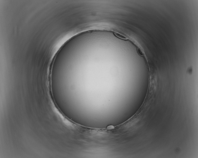 X0000116841103200912181452