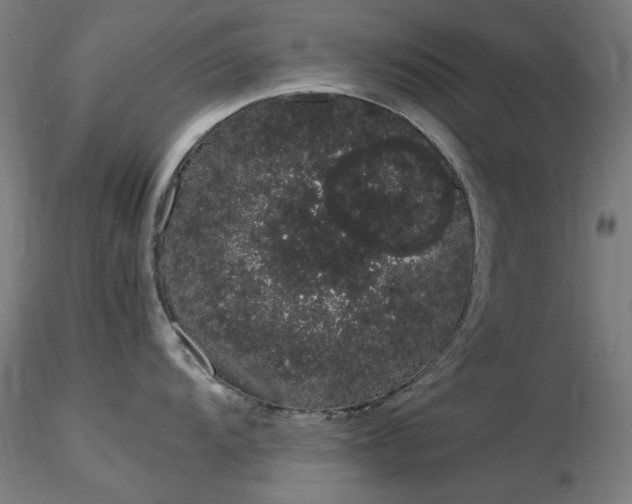 X0000116841104200912181452