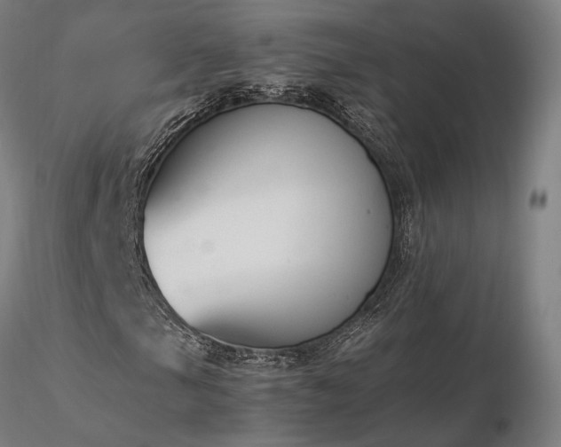 X0000116841105200912181451