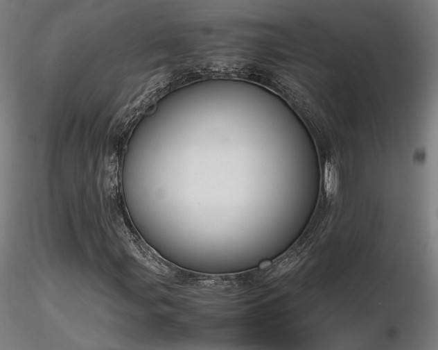 X0000116841107200912181451