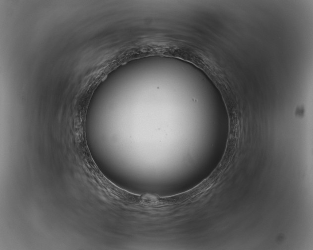 X0000116841109200912181451