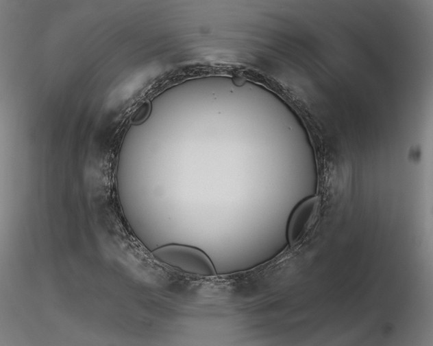 X0000116841110200912181451