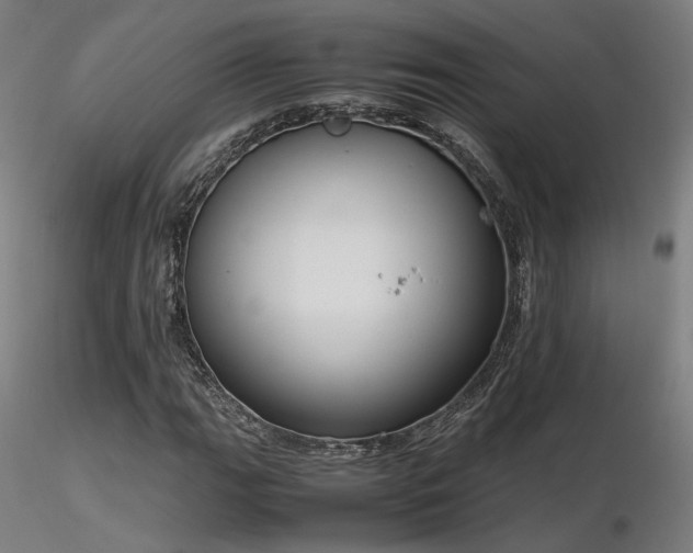 X0000116841111200912181451