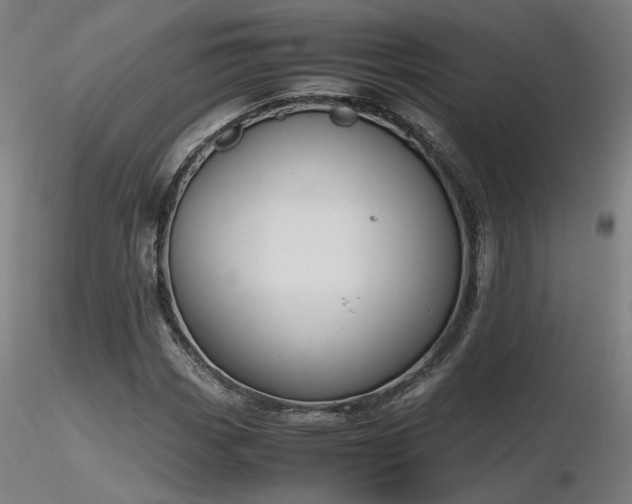 X0000116841113200912181451