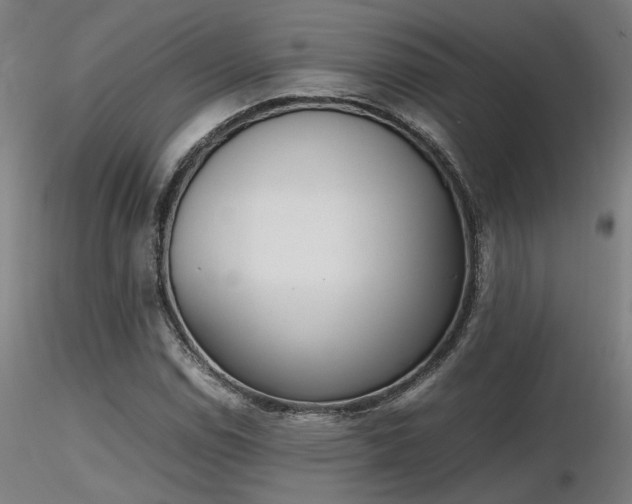 X0000116841114200912181451