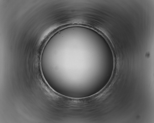 X0000116841115200912181451