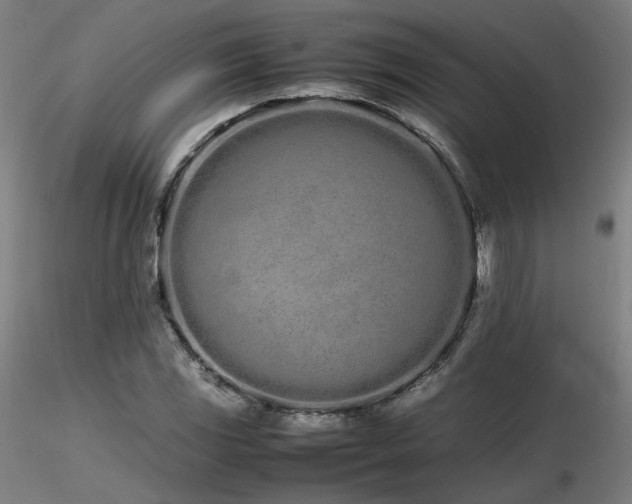 X0000116841117200912181451
