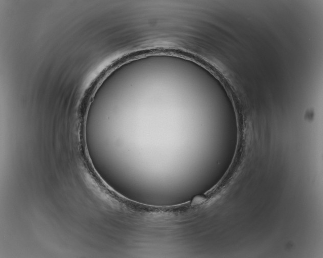 X0000116841118200912181451