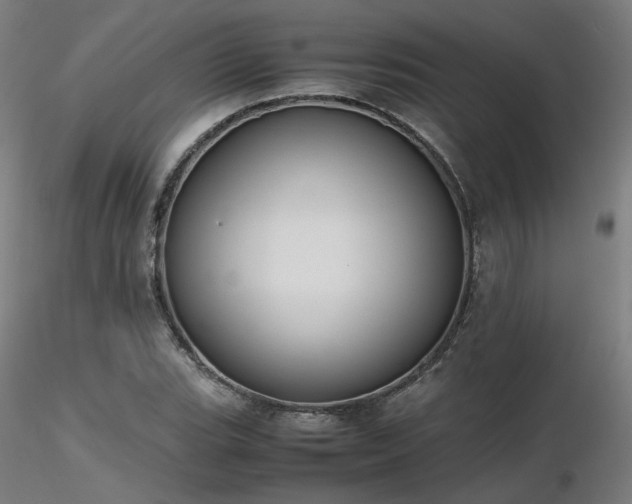 X0000116841119200912181451